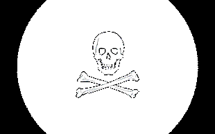 skull + crossbones
